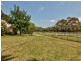 176 Coolart Road, Moorooduc VIC 3933