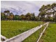 176 Coolart Road, Moorooduc VIC 3933