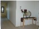 Kangaroo Point QLD 4169
