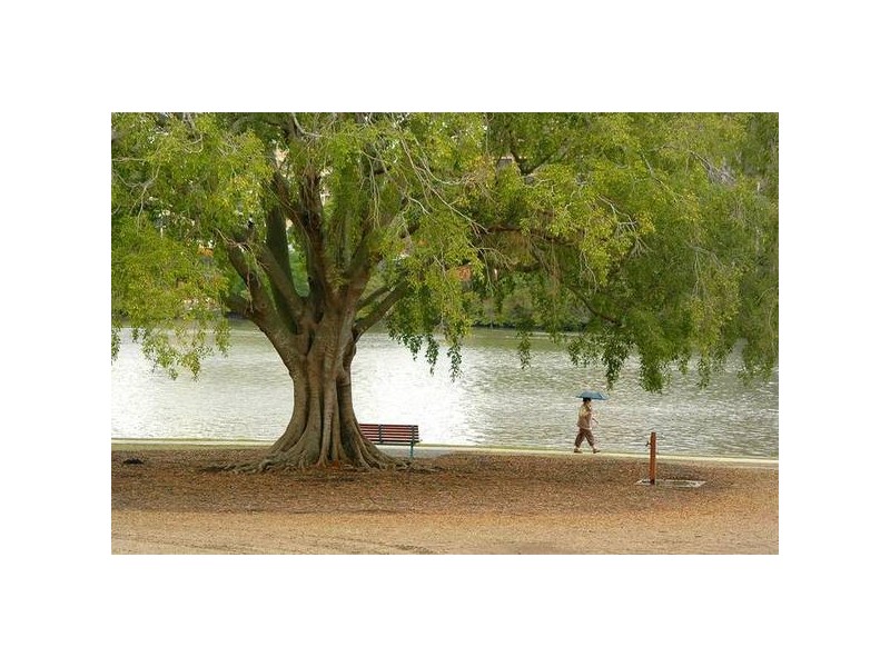 2203/2 Manning Street, South Brisbane QLD 4101