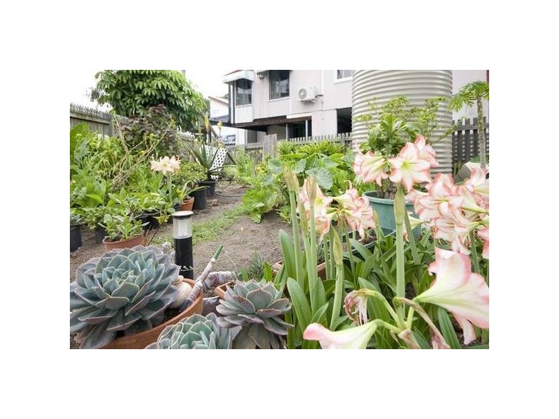 107 Annerley Road, Dutton Park QLD 4102