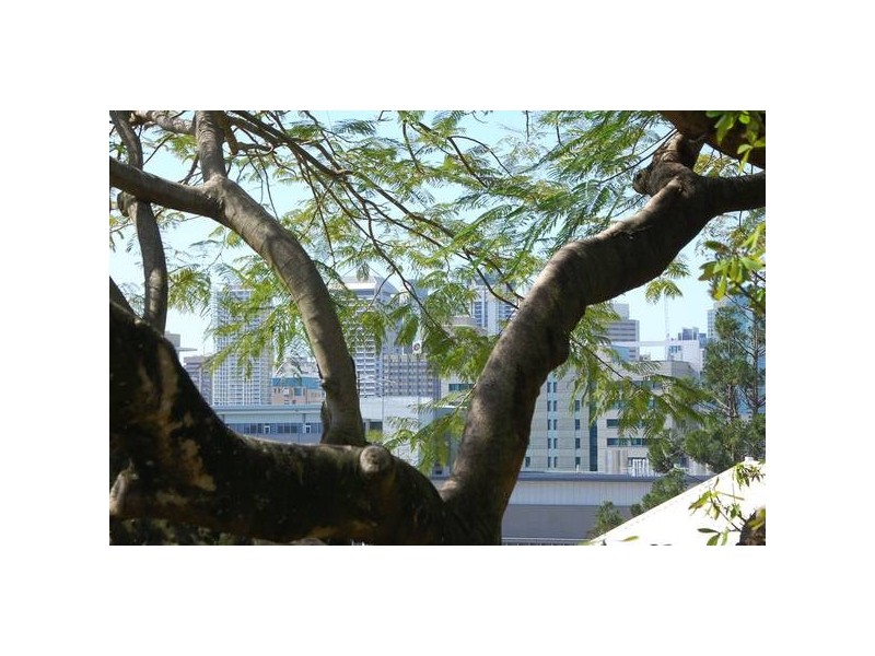 12 Gladstone Road, Highgate Hill QLD 4101