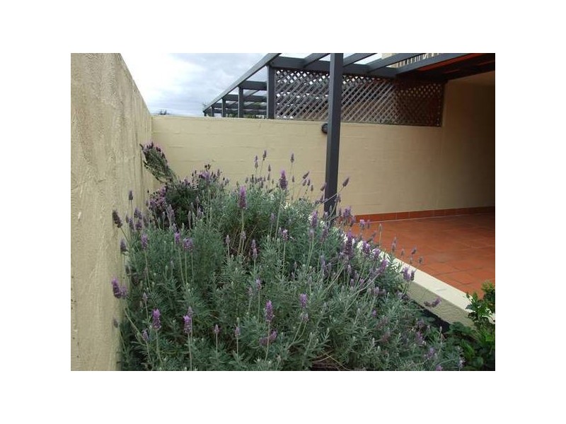 Woolloongabba QLD 4102