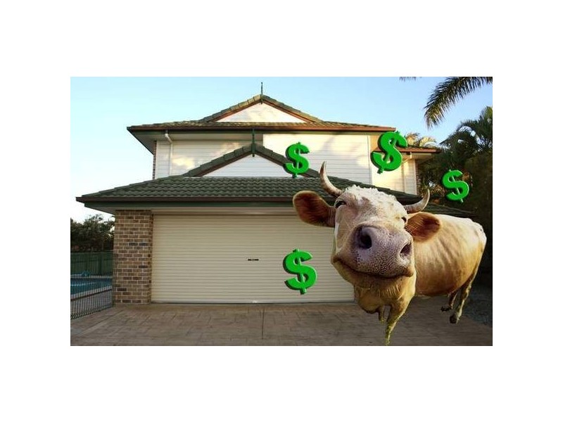 10 Aviance Close, Eight Mile Plains QLD 4113