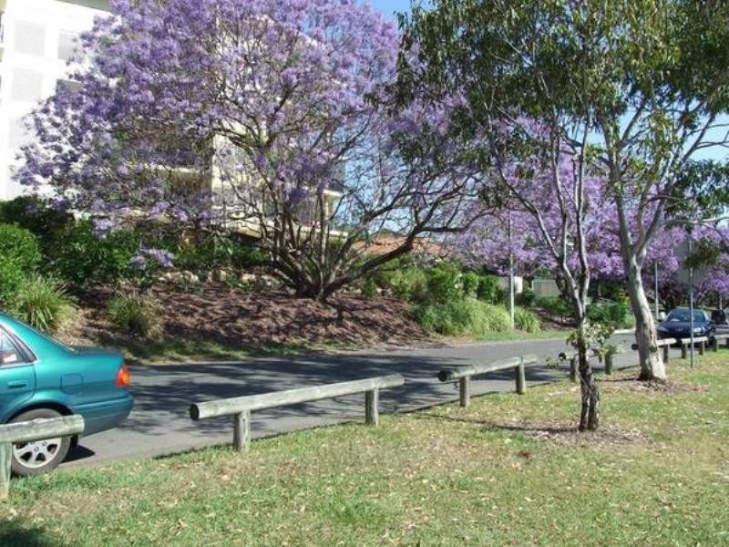 17/5 Duncan Street, West End QLD 4101