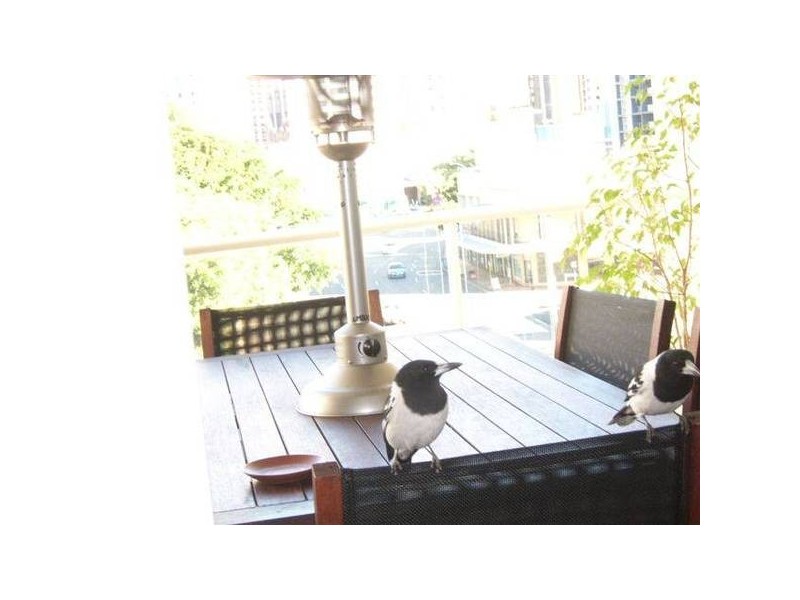 41 Gotha Street, Fortitude Valley QLD 4006