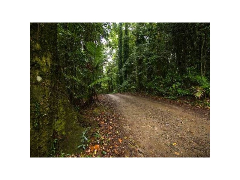 16 Attunga Lane, Mount Glorious QLD 4520