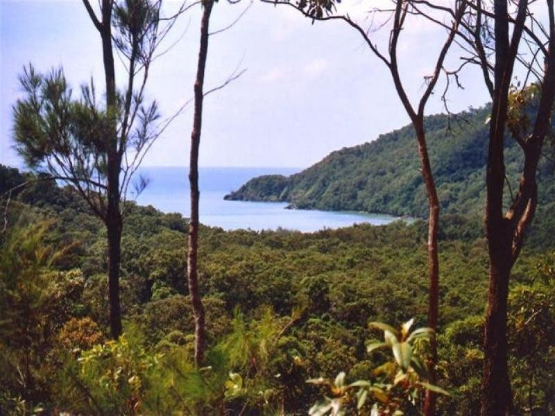 Lot 233 White Beech Road, Cow Bay QLD 4873