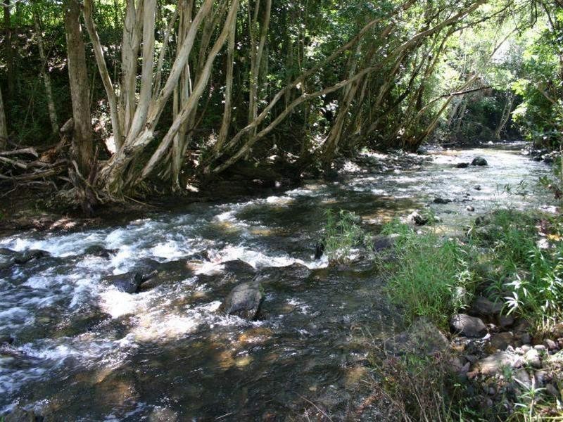 Lot 202 McBride Street, Redlynch QLD 4870