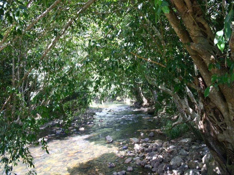 Lot 221 Jak Gee Street, Redlynch QLD 4870