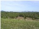 Lot 11 Barretts Creek Road, Cooktown QLD 4895