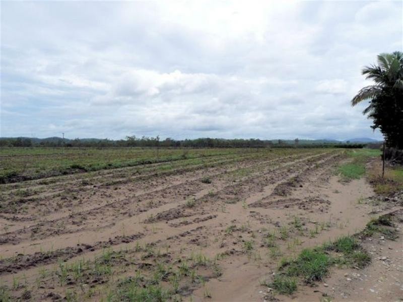 33 Querin Road, Biboohra QLD 4880