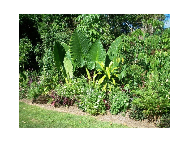 57 Verbena Drive, Mount Sheridan QLD 4868