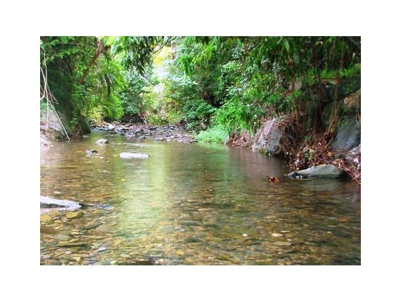 41-47 Alexander Street, Clifton Beach QLD 4879