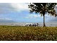 2461 Yarrabah Road, East Trinity QLD 4871