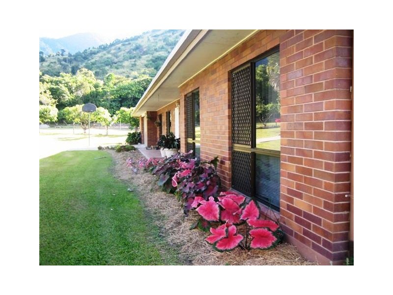 82 Currunda Close, Redlynch QLD 4870