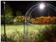 Ashmore QLD 4214