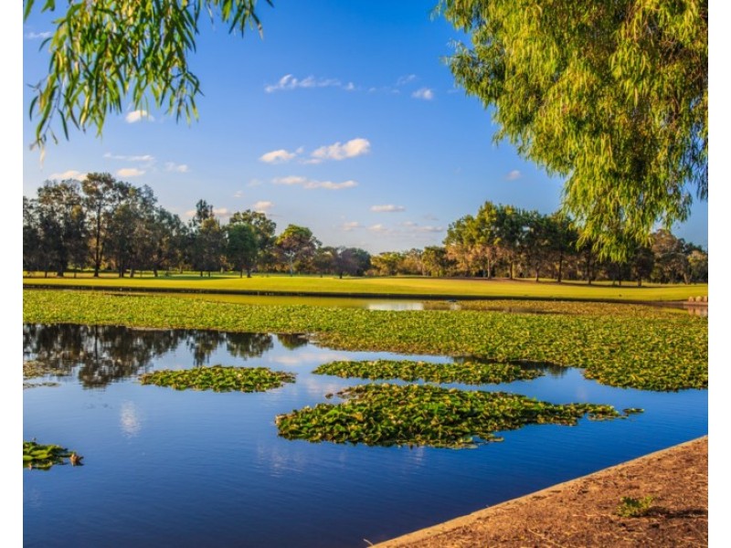 14 Trentham Court, Parkwood QLD 4214