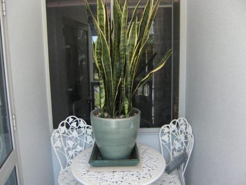 38 Cranston Villa 2, 125 Santa Cruz Boulevard, Clear Island Waters QLD 4226