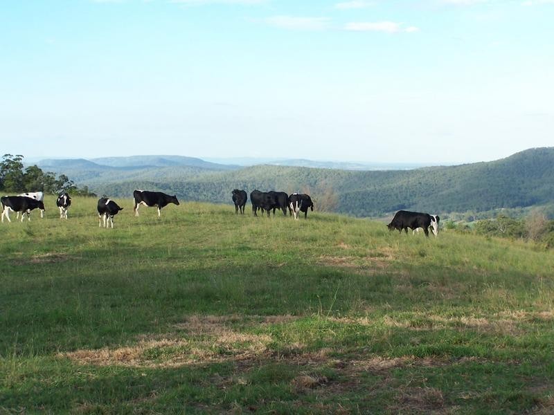 Mount Berryman QLD 4341