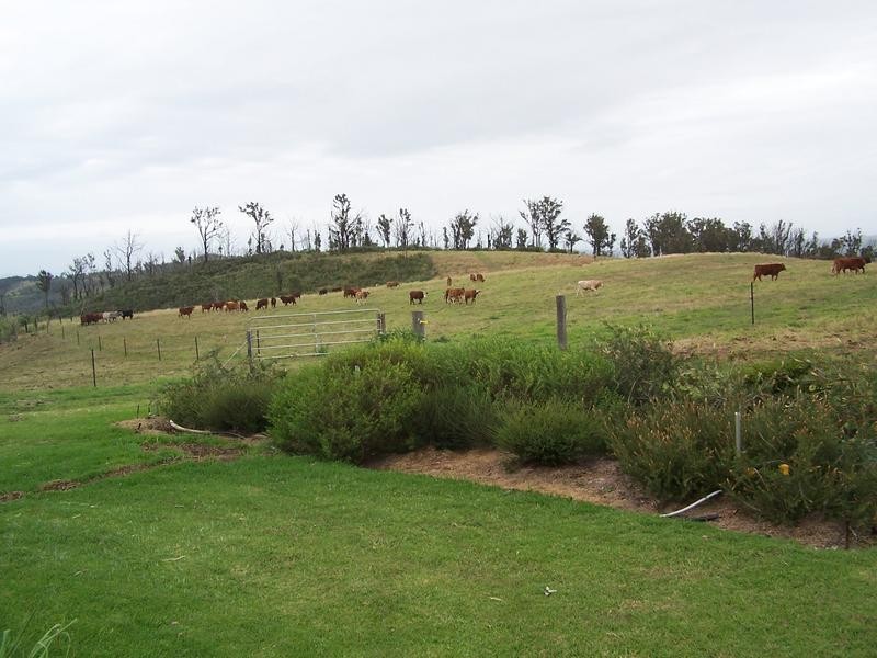 Mount Berryman QLD 4341