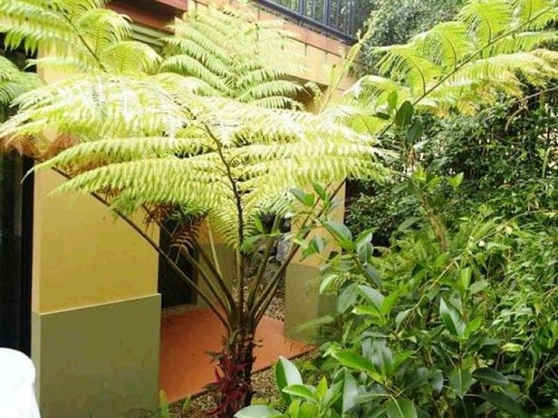 59 Eugaree Street, Southport QLD 4215