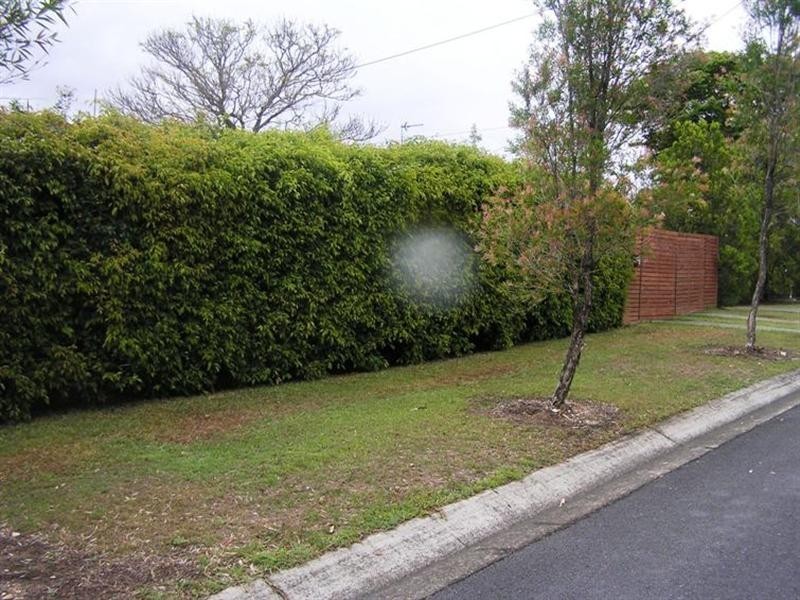 15 Panache Street, Molendinar QLD 4214