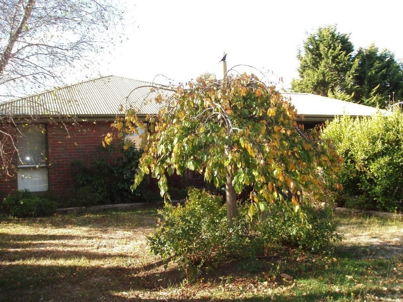 7 Ash Court, Romsey VIC 3434