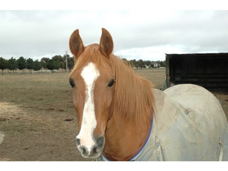 720 Riddell Road, Sunbury VIC 3429