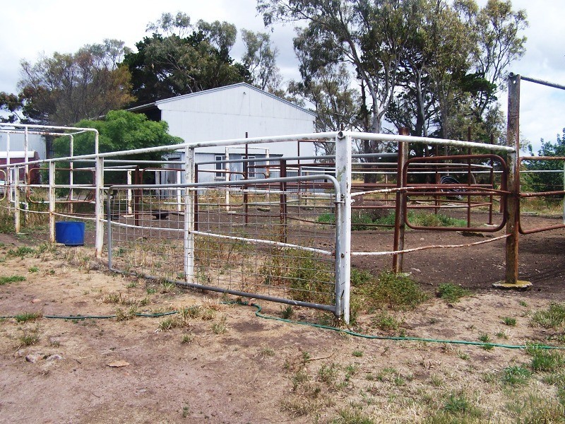 5 Starkie Road, Sunbury VIC 3429