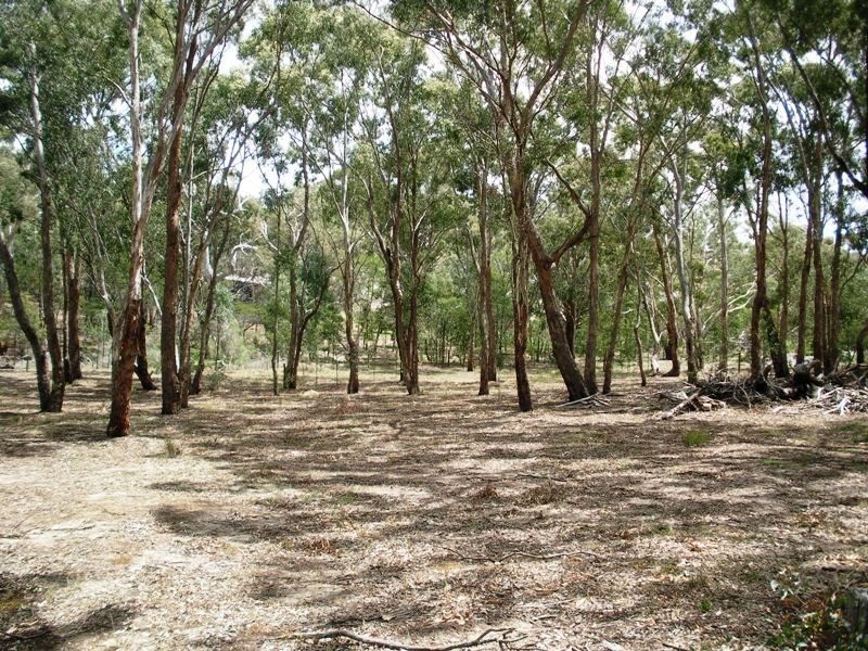 35 Albert Street, Sunbury VIC 3429