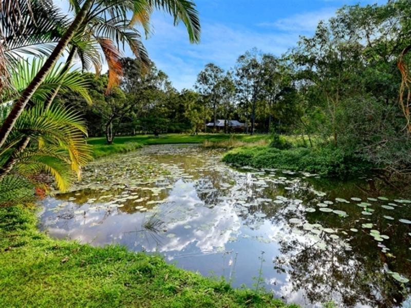 12 Oak Street, Nerang QLD 4211