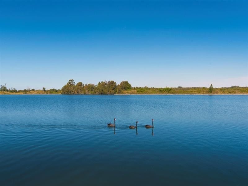 6 Kim Court, Helensvale QLD 4212