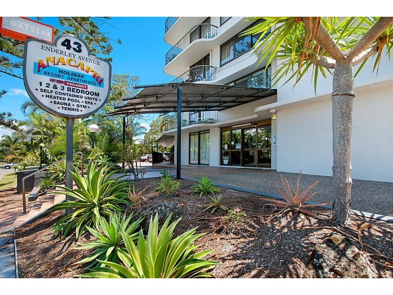 43 Enderley Avenue, Surfers Paradise QLD 4217