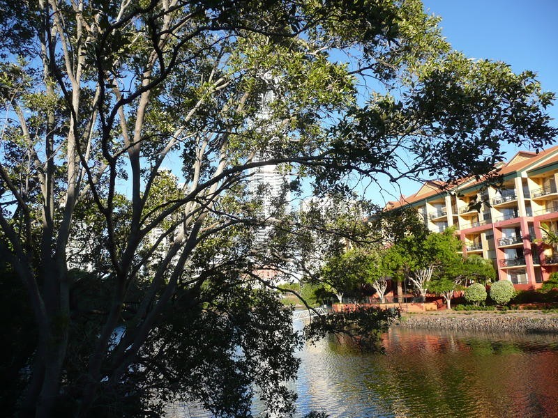 Surfers Paradise QLD 4217