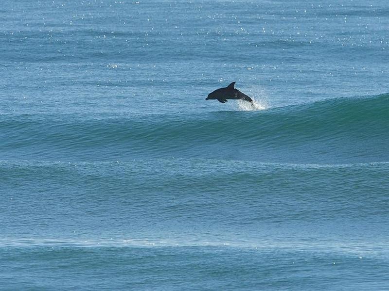 3508 Main Beach Parade, Main Beach QLD 4217