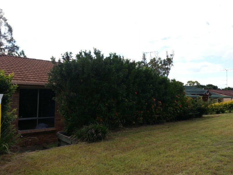 62 Binalong Drive, Ashmore QLD 4214