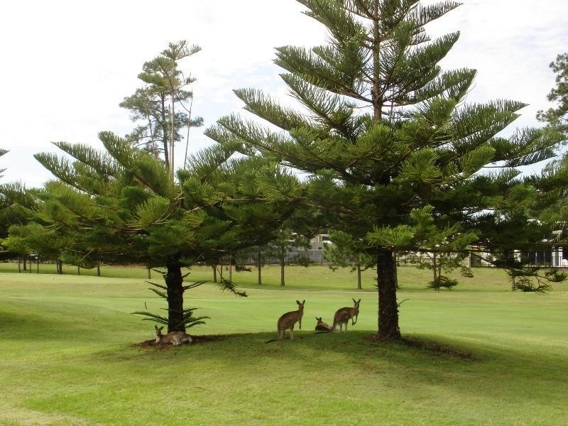 Sanctuary Cove QLD 4212
