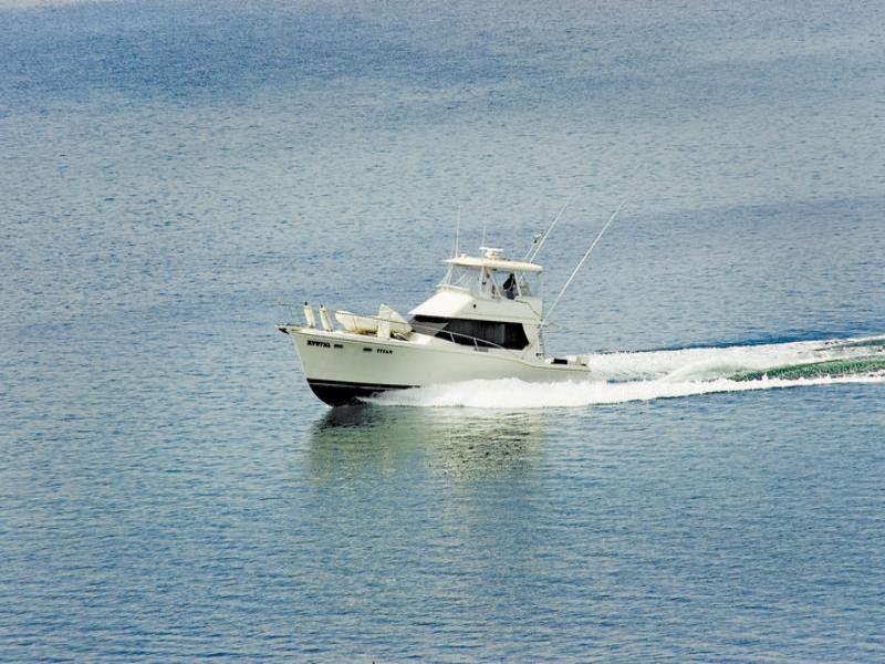 Paradise Point QLD 4216