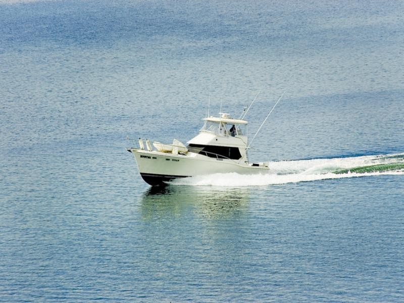 Paradise Point QLD 4216