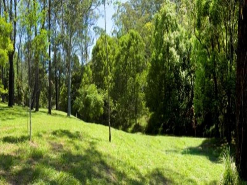 639 Currumbin Creek Road, Currumbin Valley QLD 4223