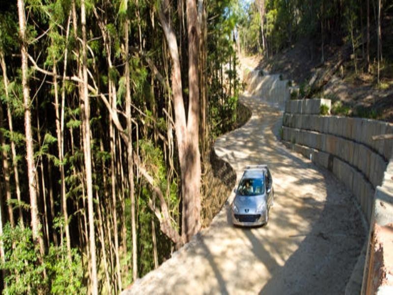 639 Currumbin Creek Road, Currumbin Valley QLD 4223