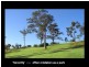 375, 385 The Panorama, Tallai QLD 4213