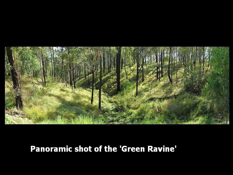 375, 385 The Panorama, Tallai QLD 4213