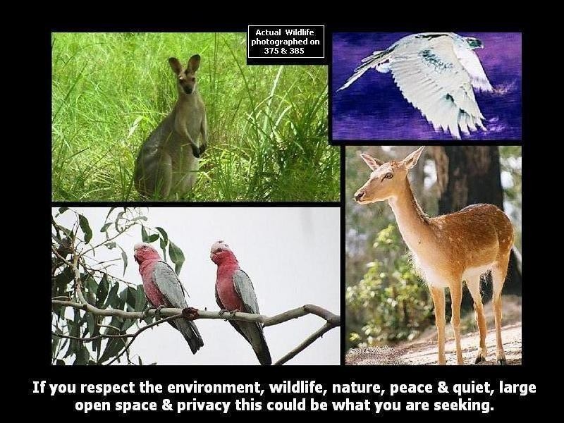 375, 385 The Panorama, Tallai QLD 4213