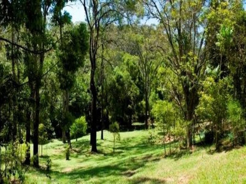 639 Currumbin Creek Road, Currumbin QLD 4223