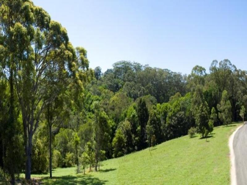 639 Currumbin Creek Road, Currumbin QLD 4223