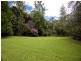 82 Wongawallan Road, Tamborine Mountain QLD 4272
