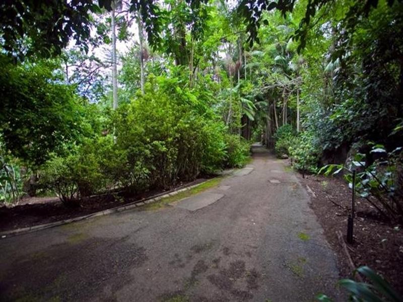 82 Wongawallan Road, Tamborine Mountain QLD 4272