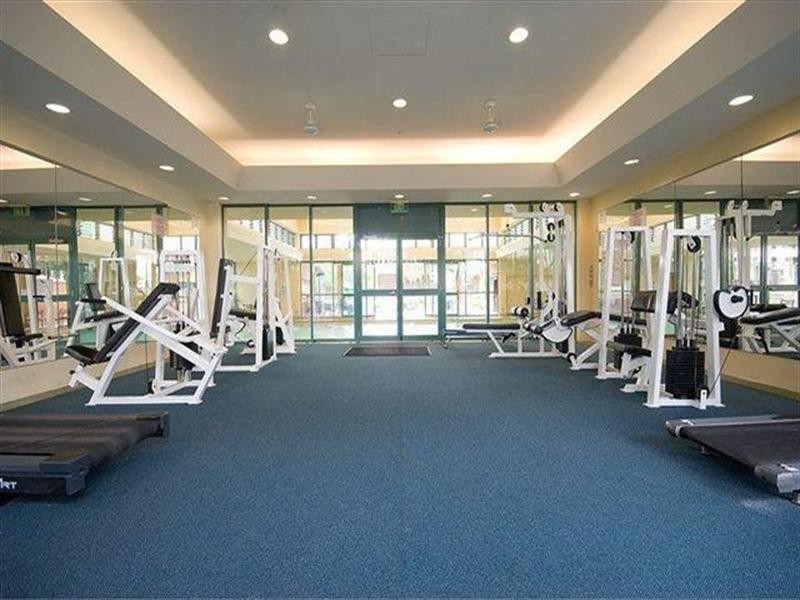 5 Palm Avenue, Surfers Paradise QLD 4217